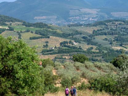 ST. FRANCIS WAY, FROM CHIUSI DELLA VERNA TO ASSISI Self-Guided