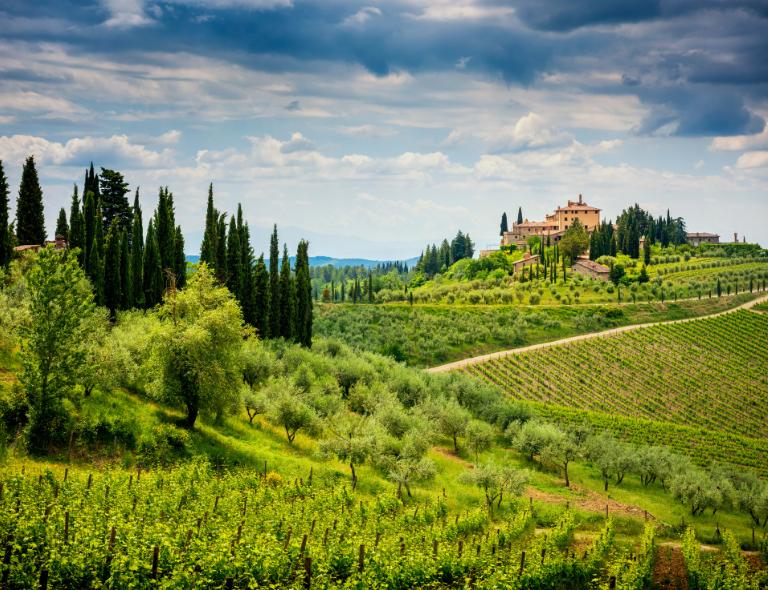 vineyards of Chianti in tuscany