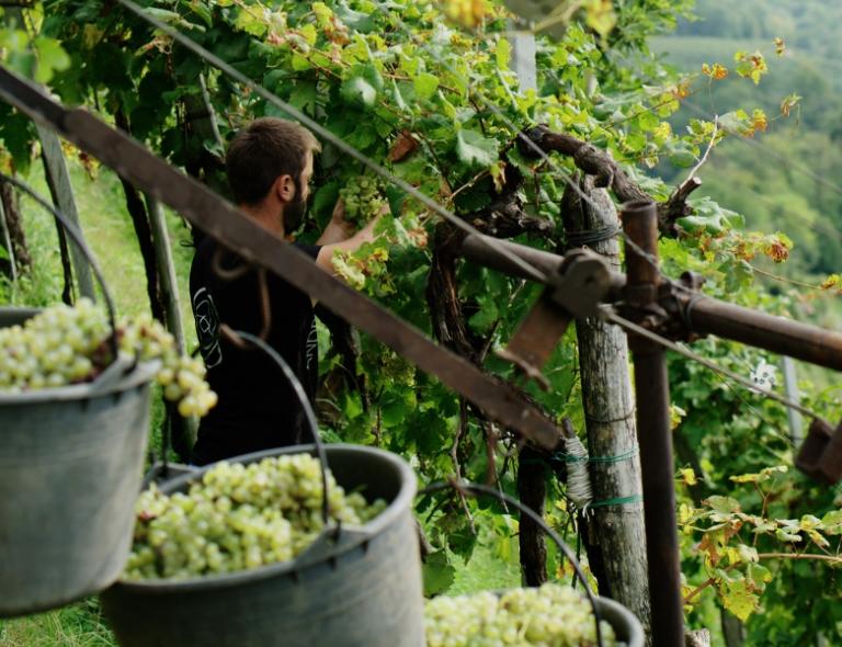 Via degli Dei a piedi