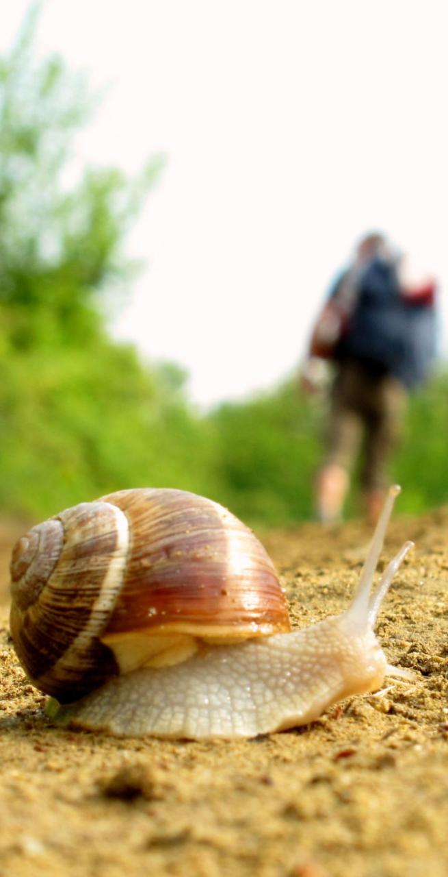 chi siamo sloways group people