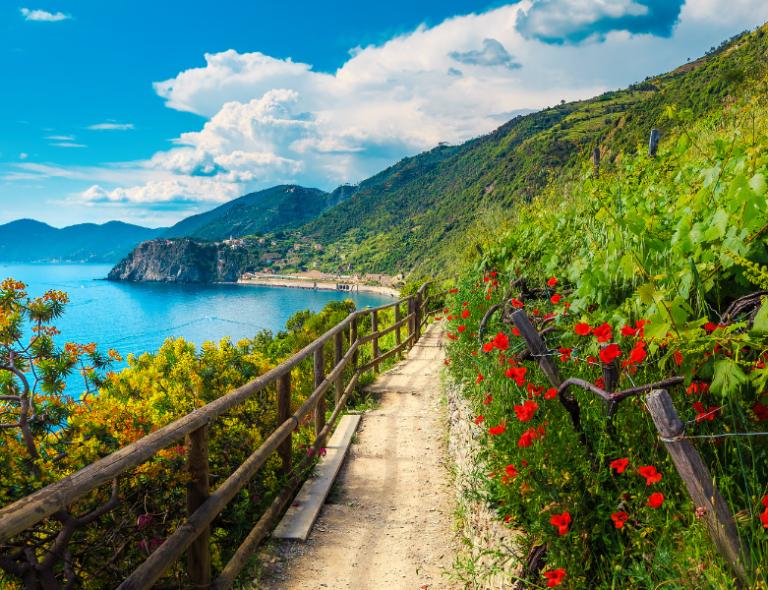 manarola walking trail in cinque terre italy