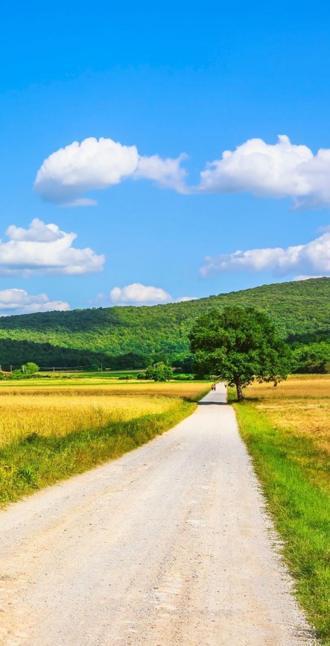 Cammini paesaggio aperto di campagna con camminatore