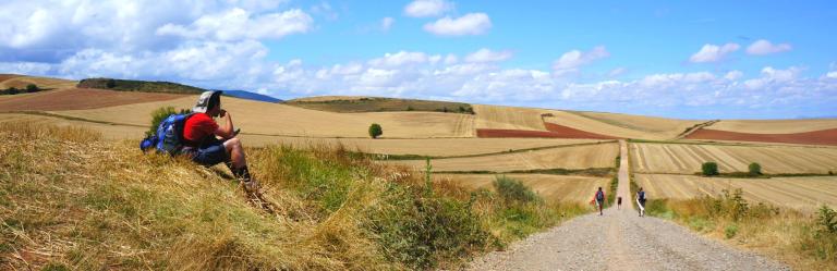 Cammini paesaggio aperto di campagna con camminatore
