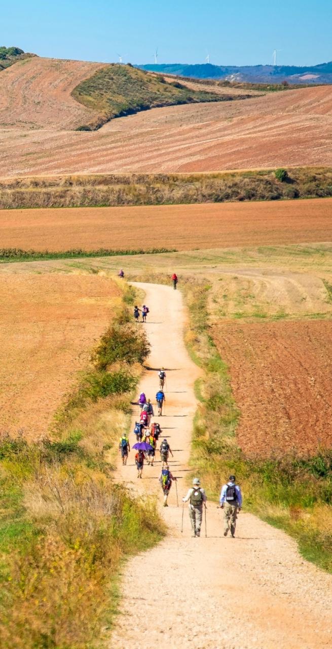 Pilgrims walking through sunflower fields on a pilgrimage walk in Spain under wide open skies