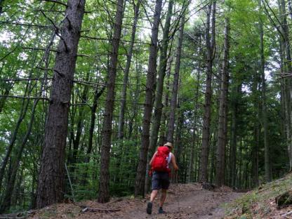 VIA FRANCIGENA: STAGE 4, FIDENZA TO PONTREMOLI