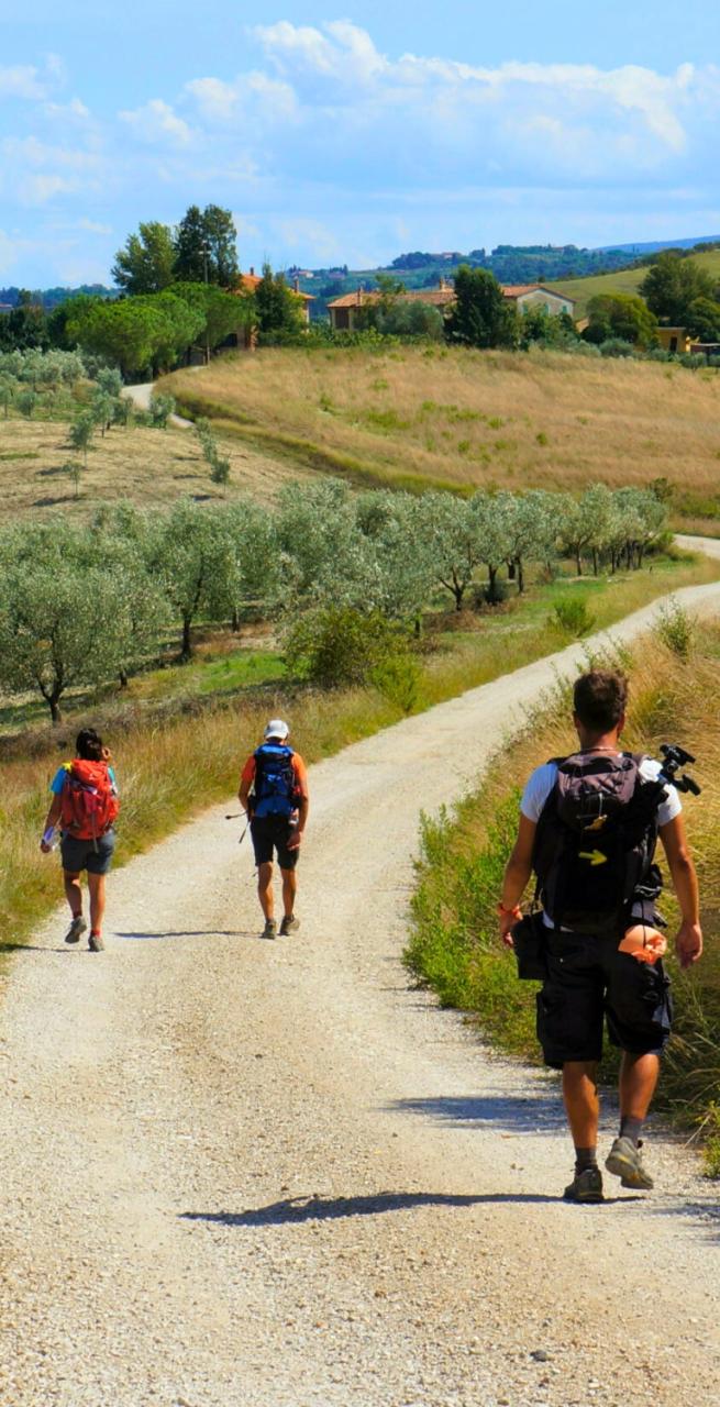 Walkers on Via Francigena path between Lucca and Siena