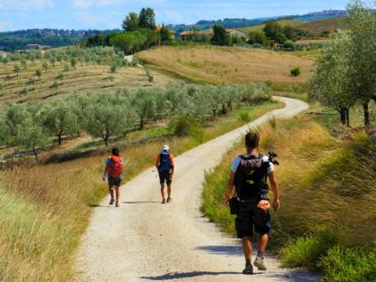 VIA FRANCIGENA: STAGE 6, LUCCA TO SIENA Self-Guided