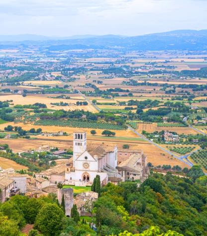 spello seen from a sunflower field