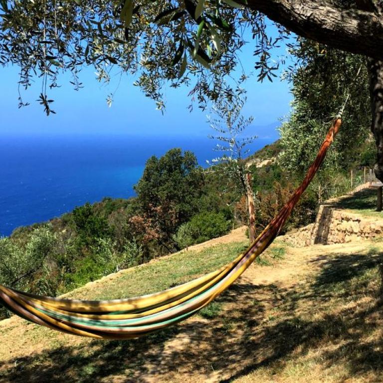 Hammock overlooking the sea among olive trees, a peaceful rest spot after a day of hiking Cinque Terre