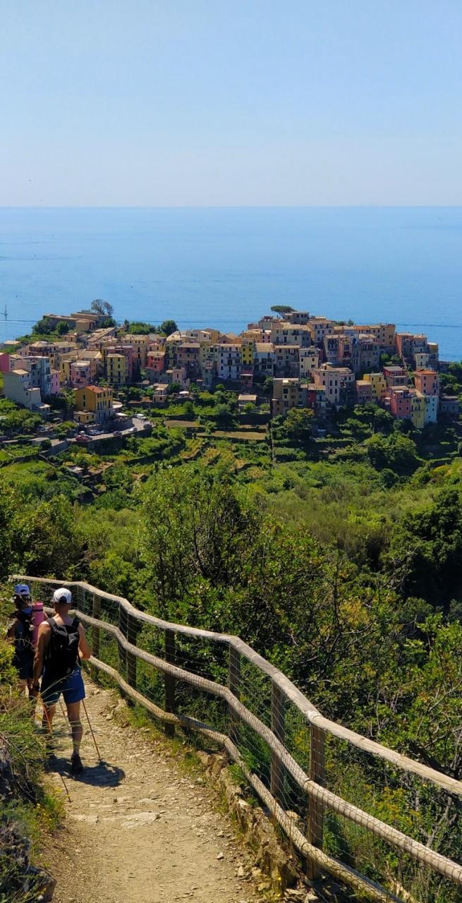 Colorful harbor of Camogli with fishing boats and pastel houses along the Ligurian coast, a gateway to hiking Cinque Terre