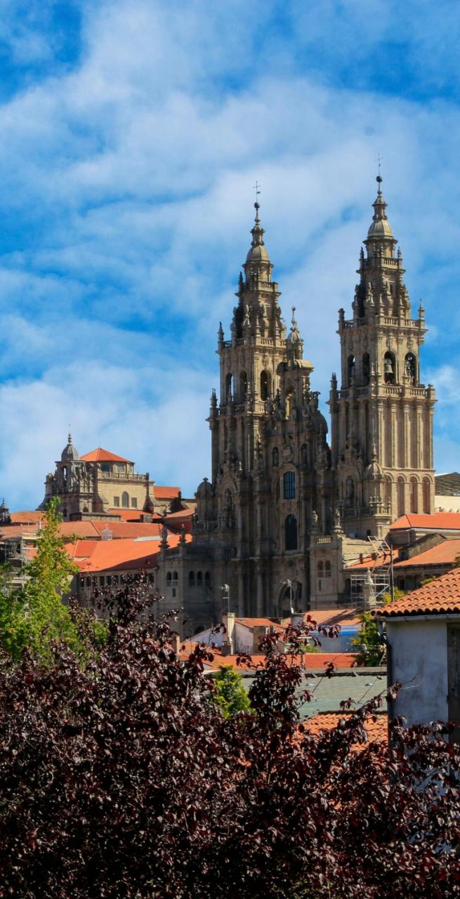 Paesaggi verdi lungo il Camino de Santiago da Sarria a Santiago