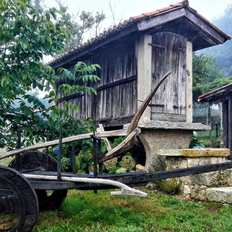 Camino de Santiago pellegrina sul cammino Sentiero tra colline e boschi in Galizia sul Cammino di Santiago