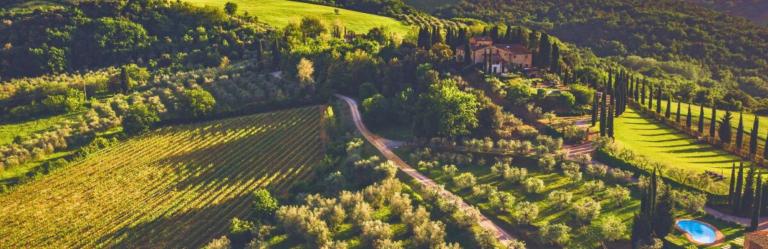 The green countryside of Gambassi with its vineyard on Tuscan Via Francigena