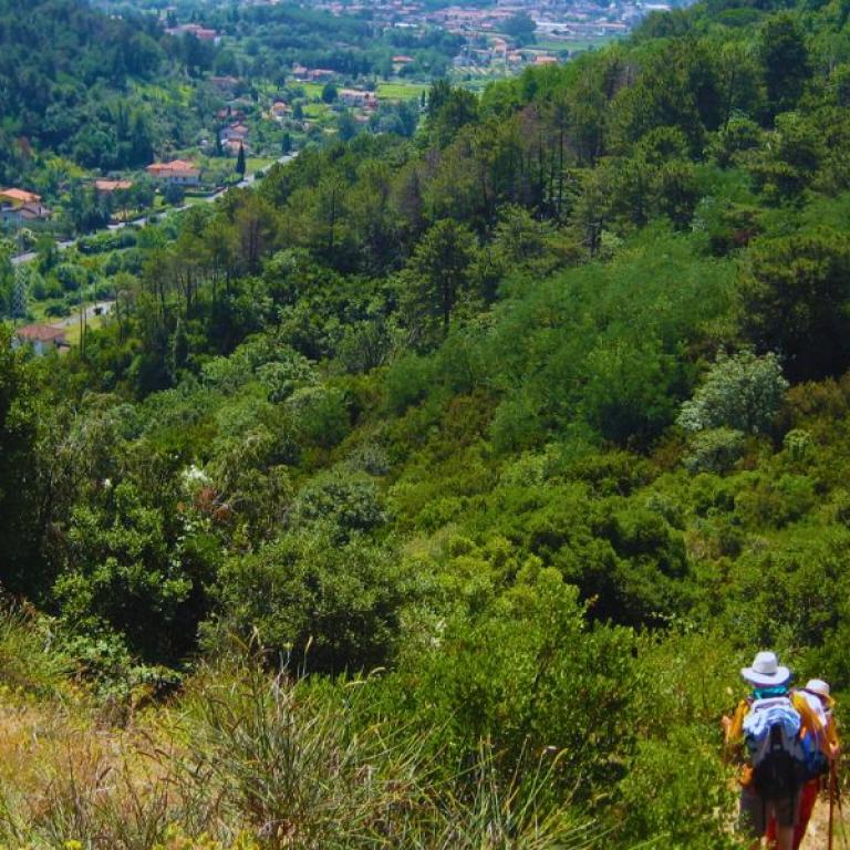 walk through the vegetation from Aulla to Marina Massa