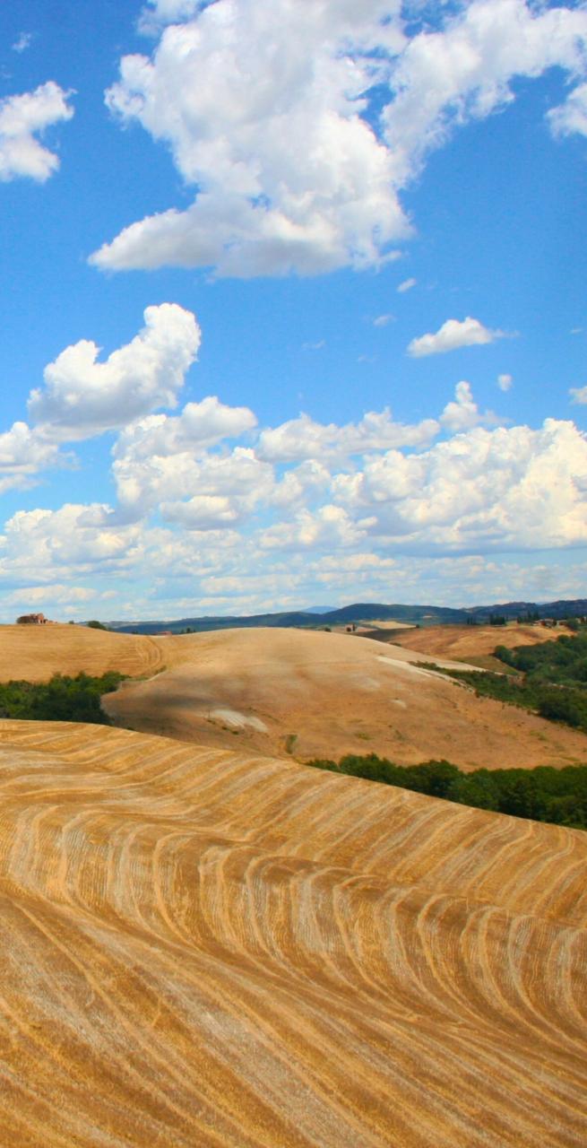 Val D'Orcia colors on the road Siena to Buonconvento