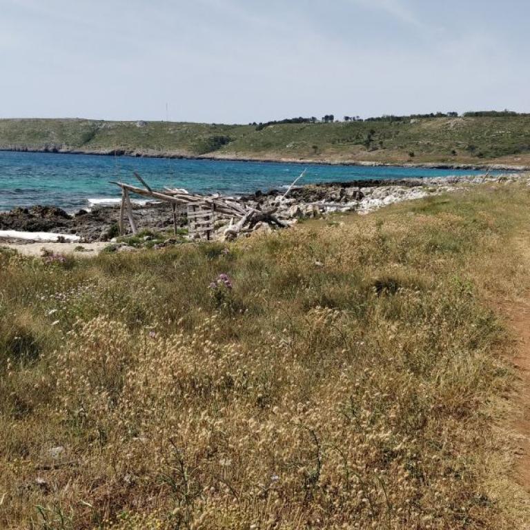 Via Costa Salentina grassy path by beach