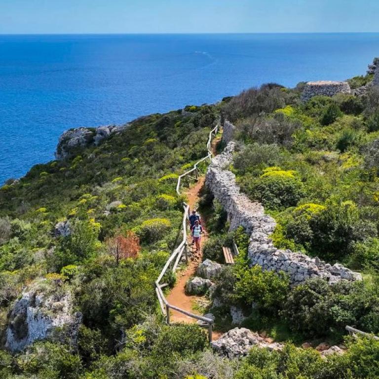 Panoramic walk between dry stone walls and Mediterranean vegetation on the Via della Costa Salentina