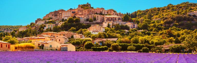 France lavender fields landscape