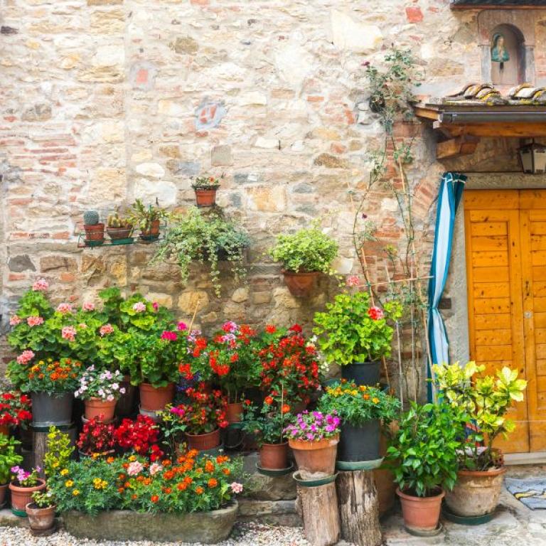quiet flowery street in chianti
