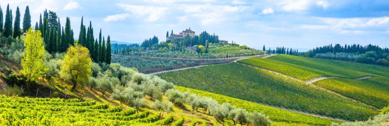Chianti radda vineyards landscape