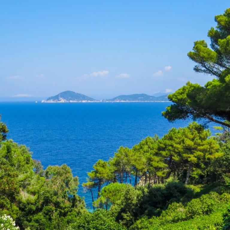 flora of elba island