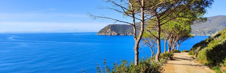 Elba Hiking coastal path with pine trees and turquoise sea