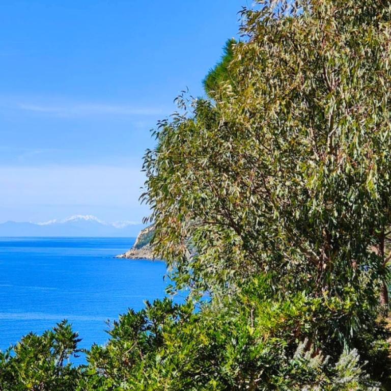 Elba Hiking trail through Mediterranean scrub with sea view
