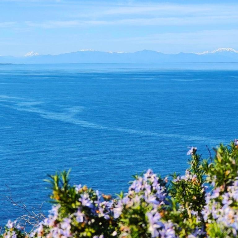 Elba Hiking panoramic view with Mediterranean vegetation and distant mountains