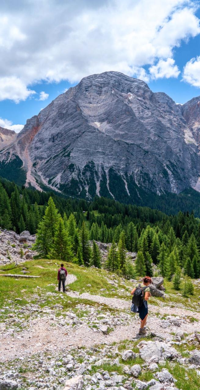 Dolomites Val Badia blue sky above the green meadow