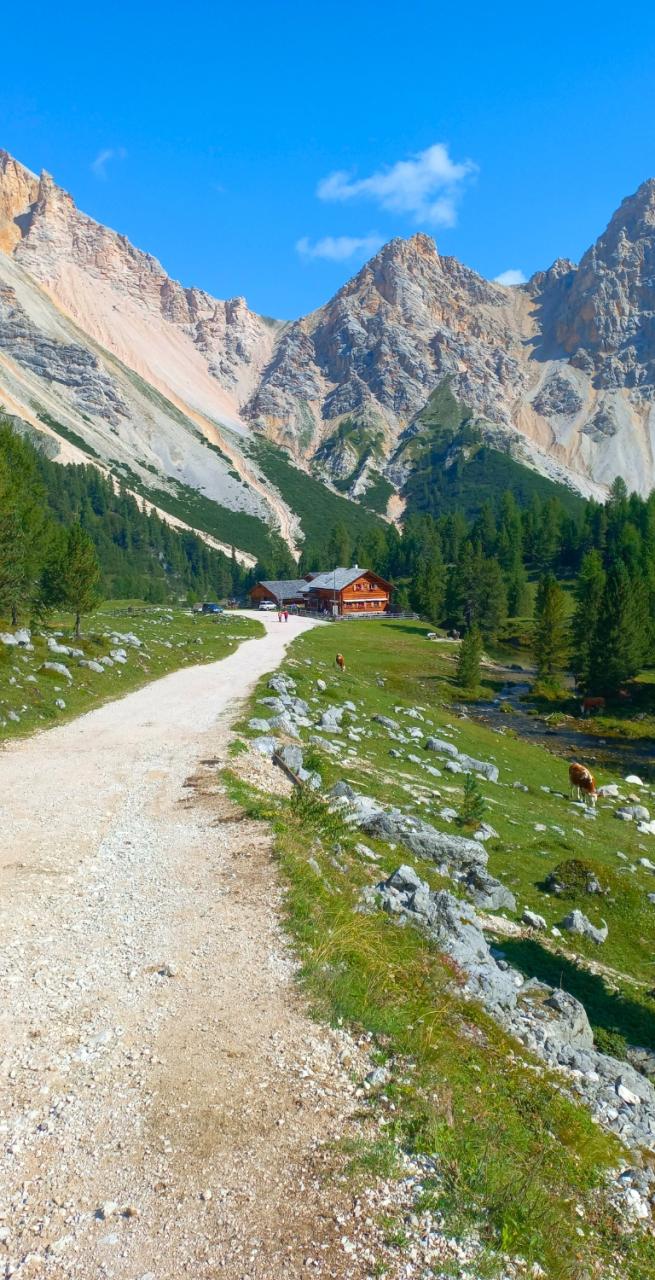 woman admiring the view after hiking the alta via