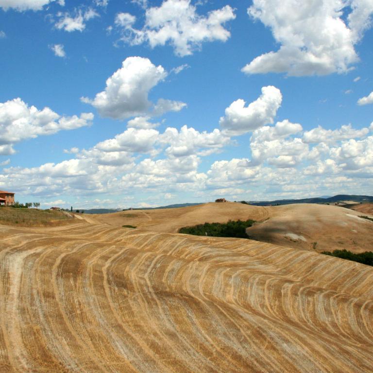crete senesi typical landscape of val d'orcia