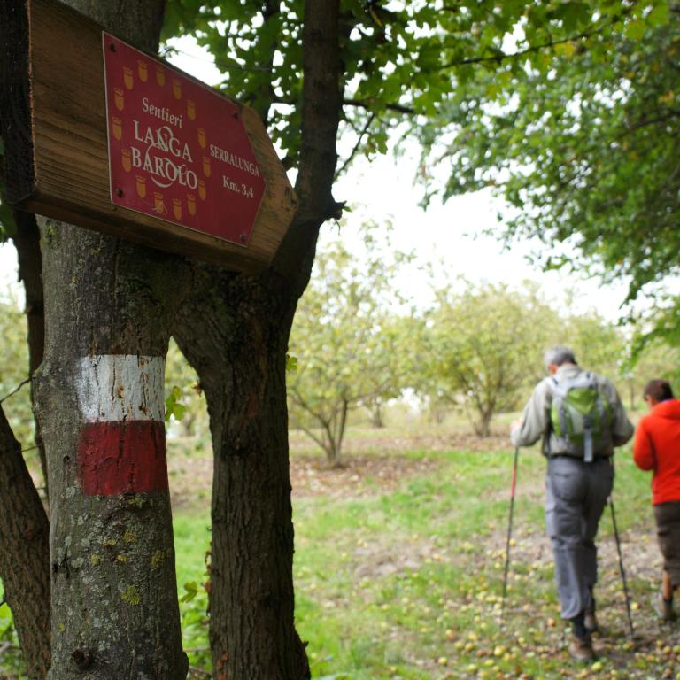 Walkers following the Langa Barolo sign through woodland on the barolo walking trails.