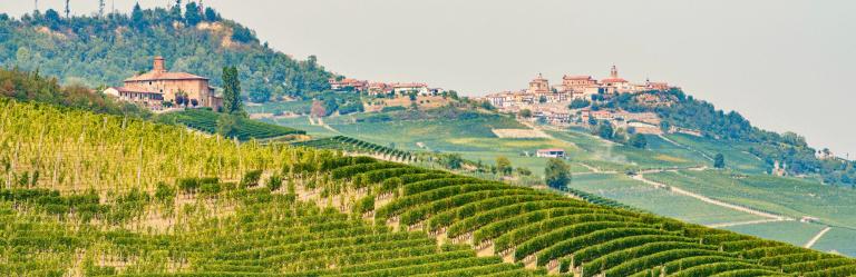 Panoramic view of Monforte d'Alba  in the Langhe