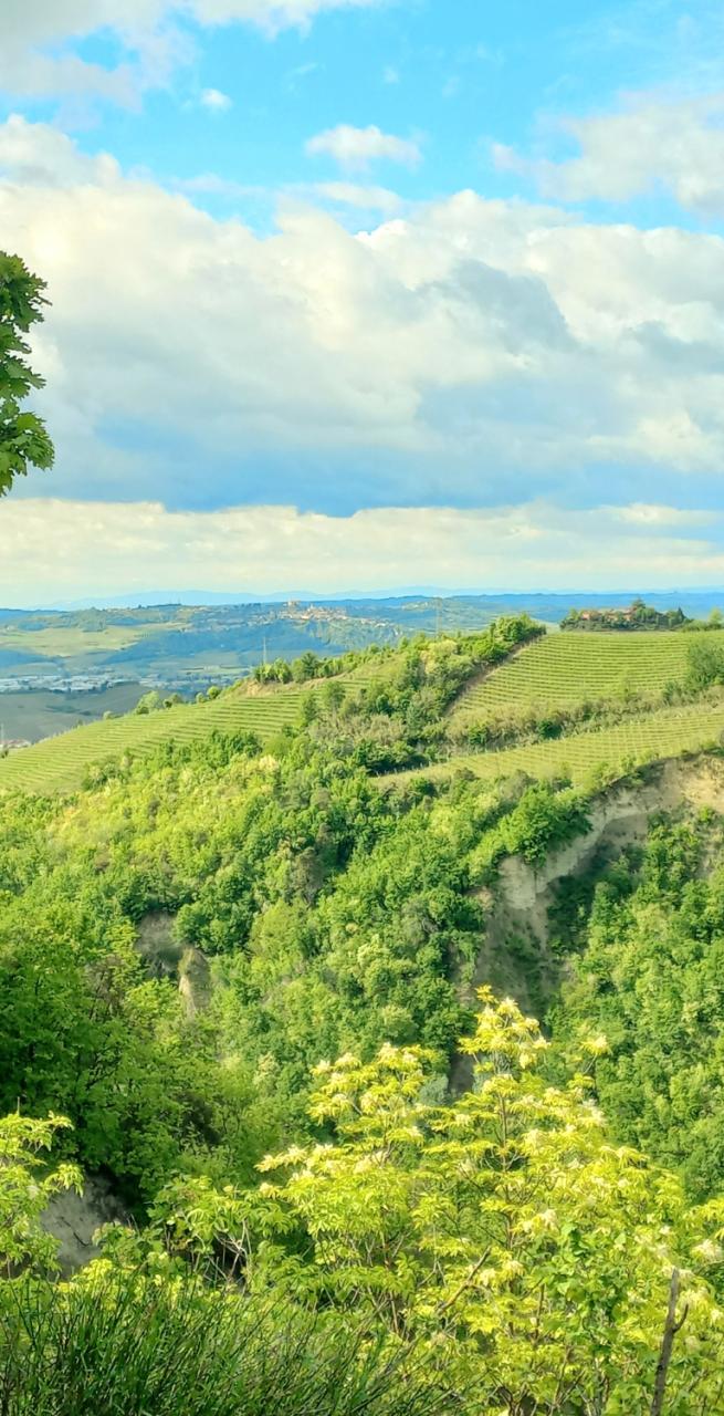 Walkers on scenic barolo walking trails beside ripe Nebbiolo vineyards in the Langhe hills.
