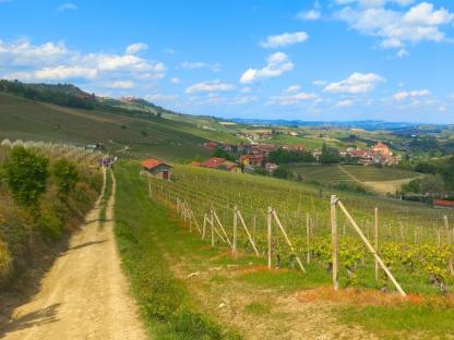 ITSW290 LANGHE BAROLO TO BARBARESCO