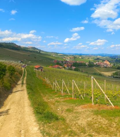 ITSW290 LANGHE BAROLO TO BARBARESCO