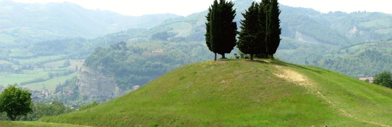 Green meadow hill adorned with cypress trees