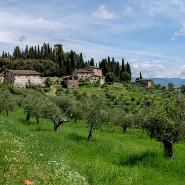 Countryside trail passing olive groves and stone houses along the Via degli Dei