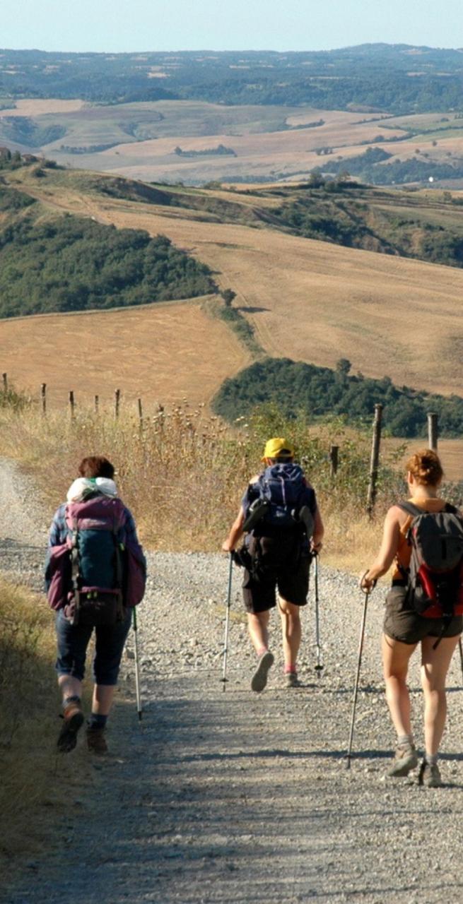 Two people walking on a Via Francigena countryside path
