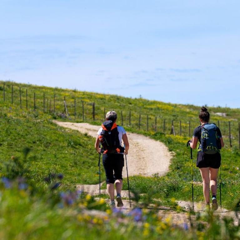 Due camminatori percorrono un sentiero sterrato tra i verdi paesaggi siciliani durante un viaggio a piedi
