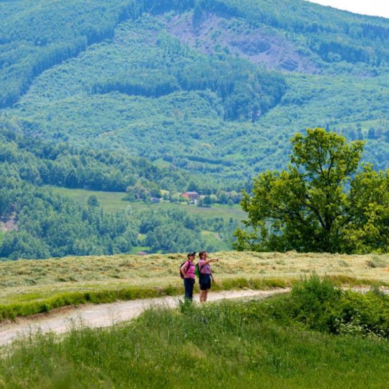Easy-length segment of the Via degli Dei in the Apennines