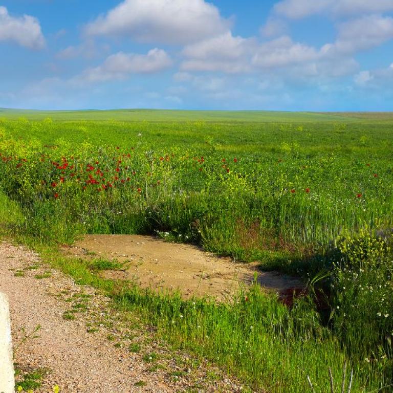 walking saint james way in france