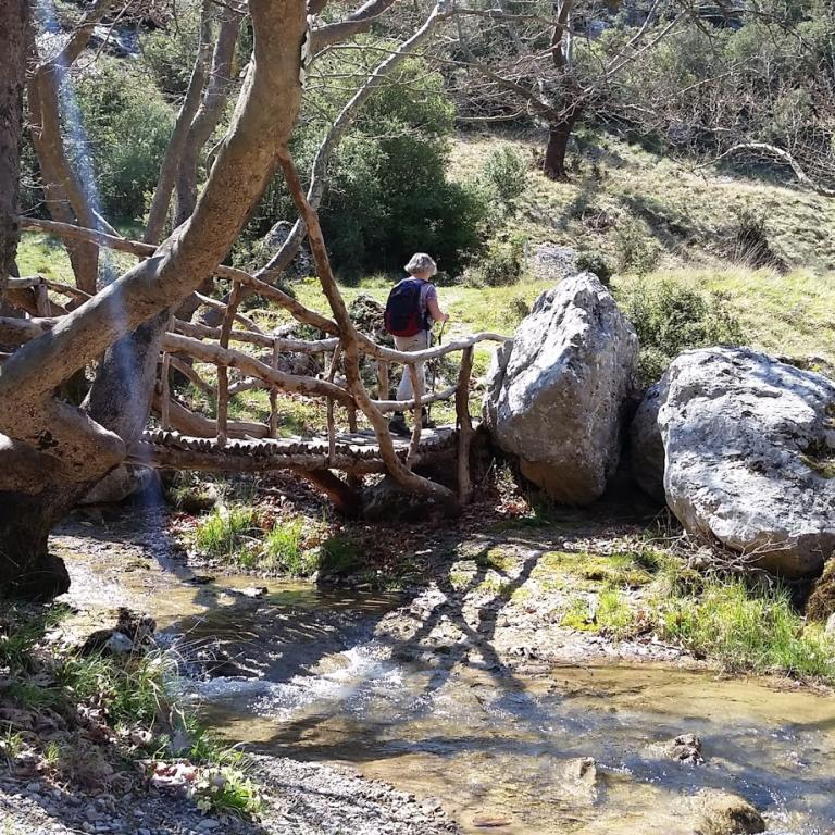 ponte di legno su un ruscello lungo il menalon trail