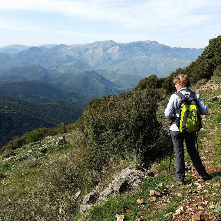 sentiero tra le montagne lungo il menalon trail