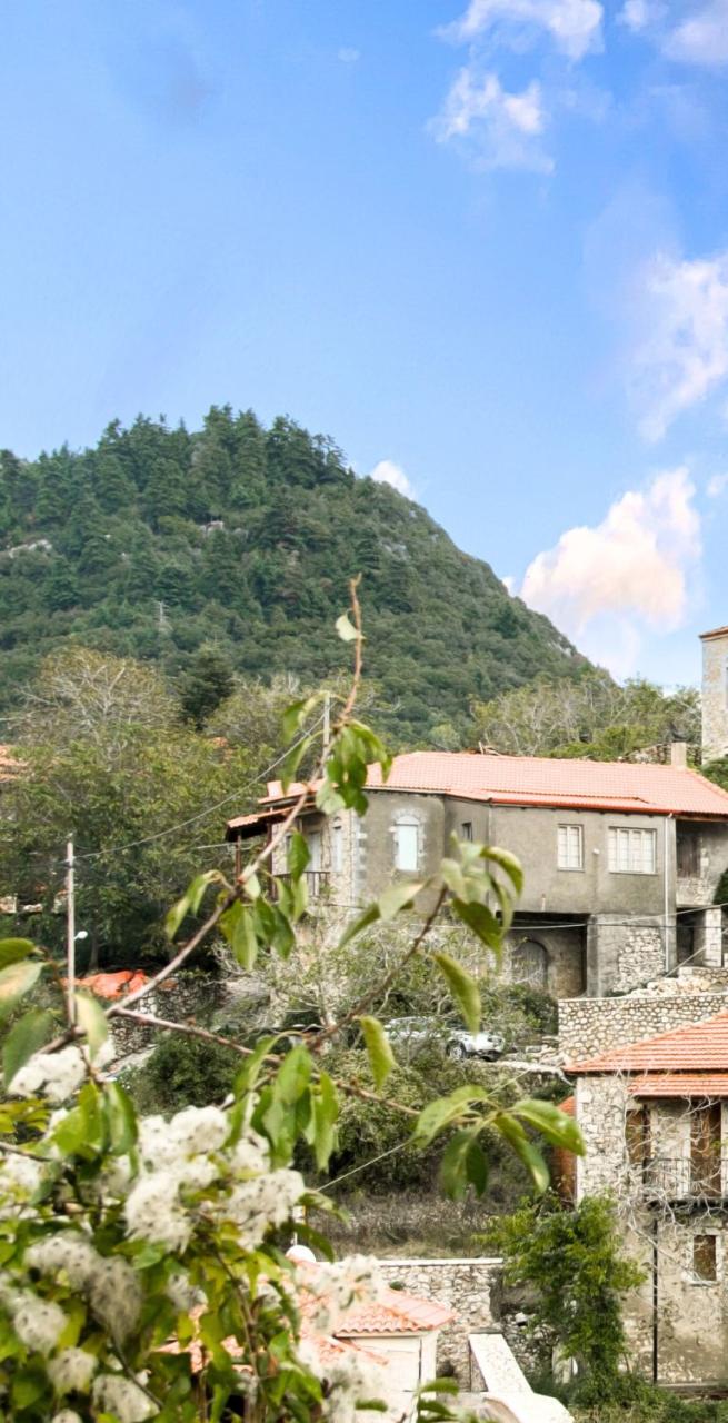 vista panoramica sul percorso immerso nelle foreste e nelle montagne greche