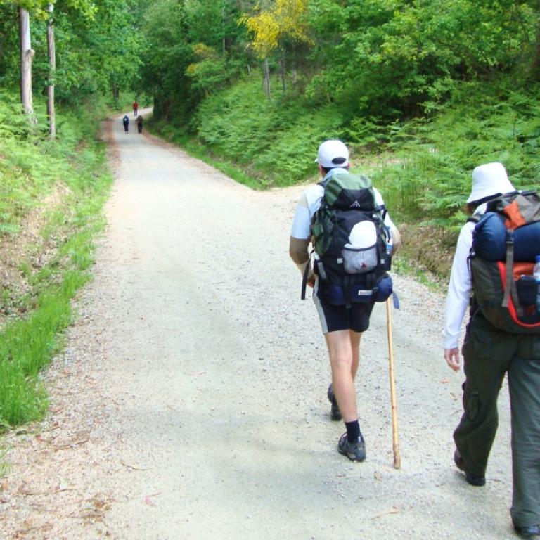 Colorful meadow among the Camino Portuguese