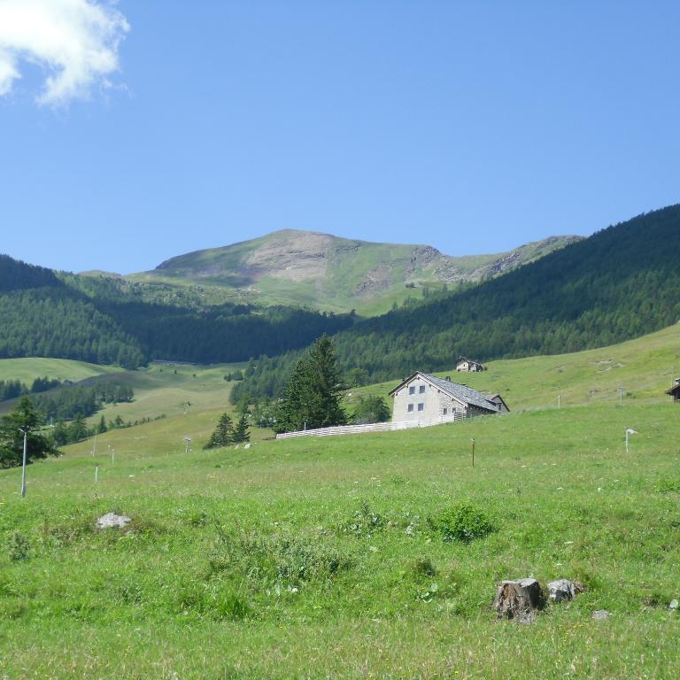 St. Bernard splendid hills of Val d'Aosta