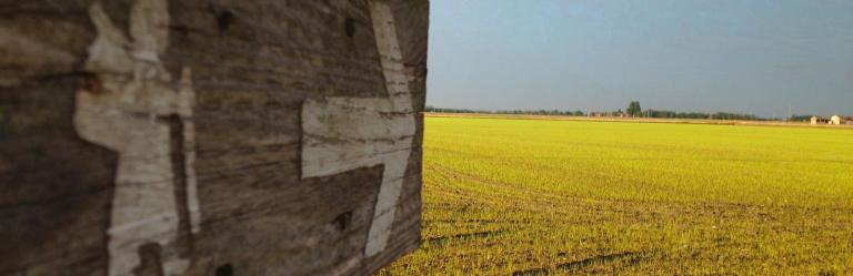 Segnavia del Cammino di Oropa in legno con freccia bianca, tra i campi verdi del Piemonte