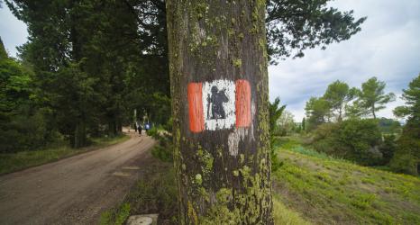 The Via Francigena Signage: what it is and how to recognize it