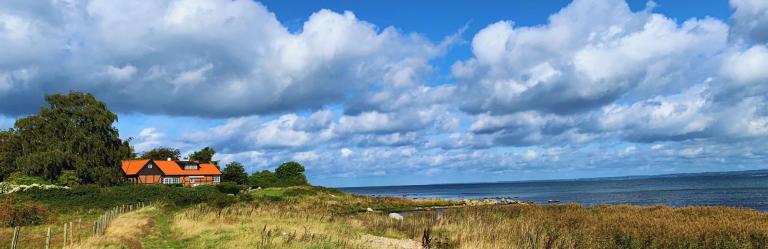 swedish coast unpolluted fields and pristine sea